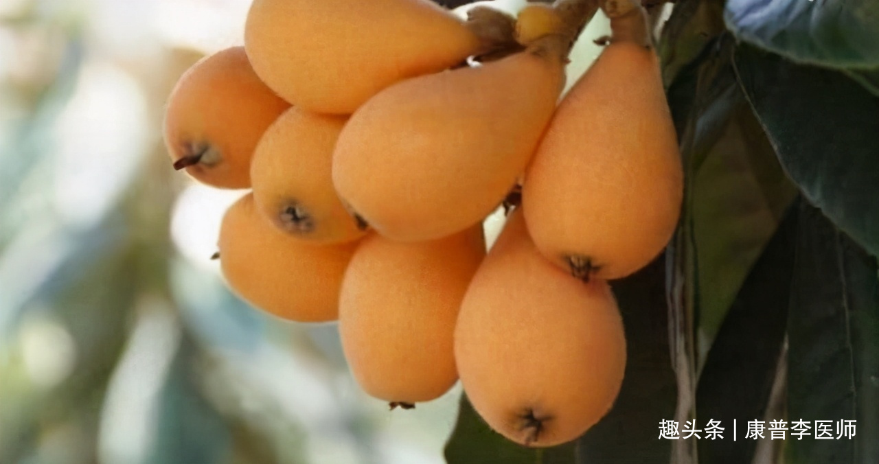 排毒|想皮肤好,平时吃的食物,排毒清肠,养护肠胃,吃了气色好