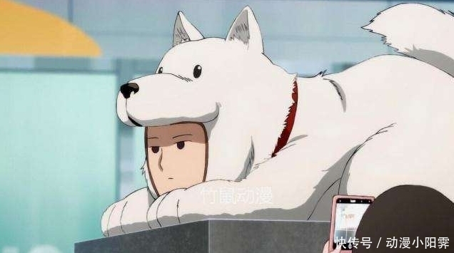 强大|一拳超人中,警犬侠为何活动范围仅在Q市?我们来一波大胆的猜测