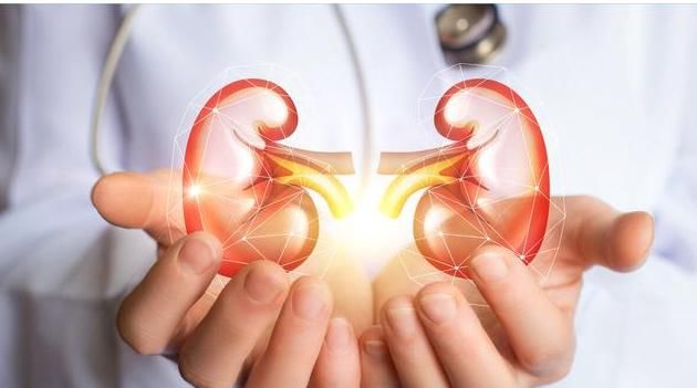  健脾|健脾祛湿、补肾益气，“虚胖”减肥调理方法分享给你