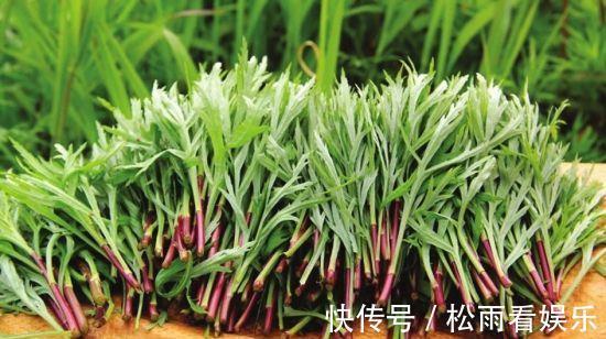 三叶芹|农村最香的6种野菜,营养高口感好,却常被当杂草除掉,可惜了!