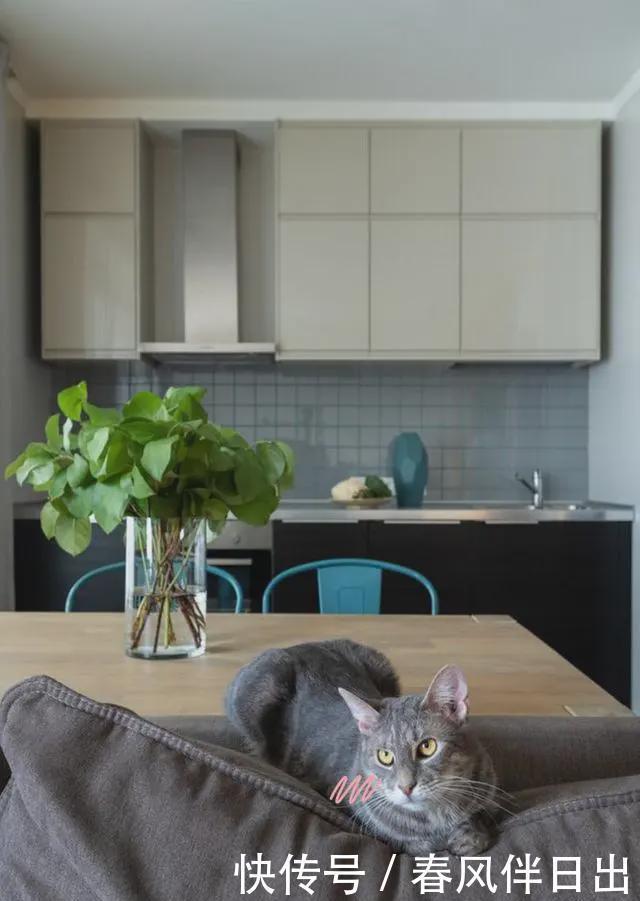 齐家云云|她一个人攒了10年工资,把48㎡装的漂漂亮亮,一室一厅,五脏俱全