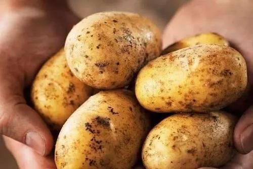 血糖|告诉大家：糖尿病人万不能吃这4物，否则血糖将一路升高危害健康