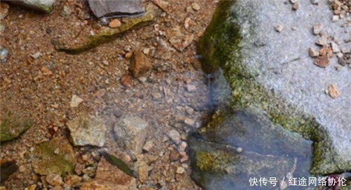楚庄王$老祖宗说的“水至清则无鱼”,下半句才是精髓,教你为人处世之道