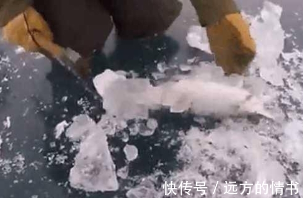 男子冰层里敲出冻僵的大鱼,却被它嘴里的东西弄蒙了