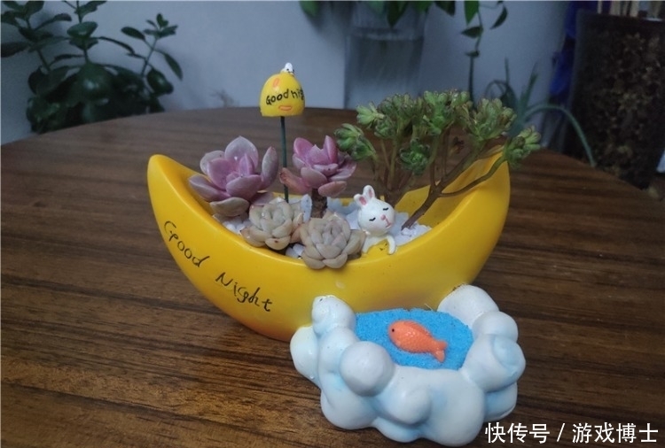 一肉一世界，一方一净土