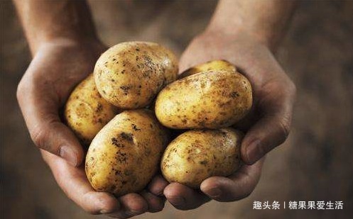 降壓|每天吃1個勝吃10個蘋果！降脂、降壓、控血糖~大家都愛吃