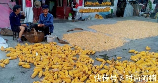 摸秋|立秋了,再忙也别忘了“做3事,吃5样”应对时节,顺利过秋天