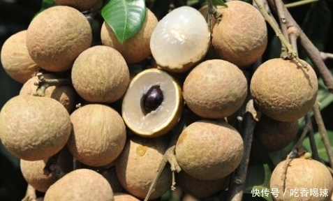 健康|晚上睡前吃桂圆,对健康好还是坏?今天一次性告诉你答案,了解下