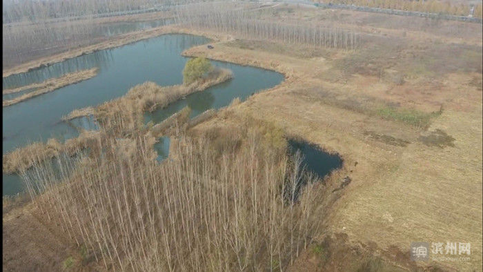 新发现|新发现遗迹墓葬18座！滨州建设用地先考古后出让工作有序推进