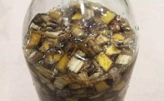 养花不用买营养液，准备好香蕉皮，盆栽植物叶子不泛黄