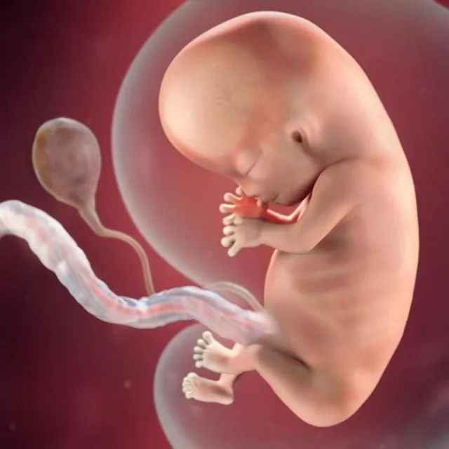 怀孕3个半月，B超发现是女孩被迫流产，你可曾想过胎儿会不会疼