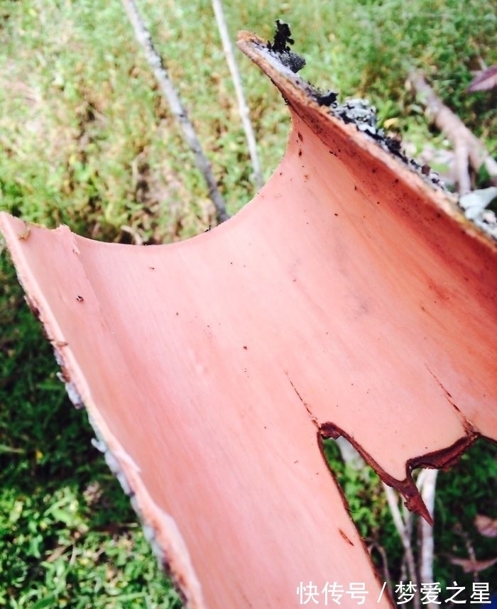 矿泉水瓶|25张罕见的照片,现代战舰的底部太科幻,好像动画片里的飞船