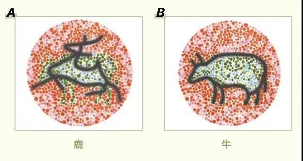 是否患有散光、色盲、黄斑病变……不用去医院进来一测便知