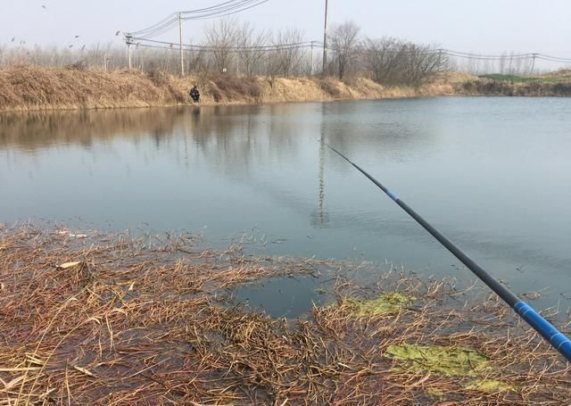 没有水草就不能钓鱼了吗根据这4点来找鱼,下竿之处即咬钩