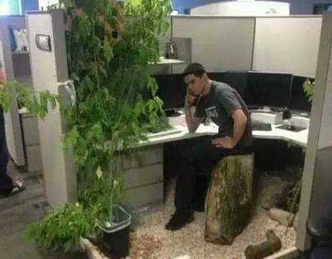 |搞笑图片幽默段子笑话兄弟看你很认真的样子,在思考什么呢