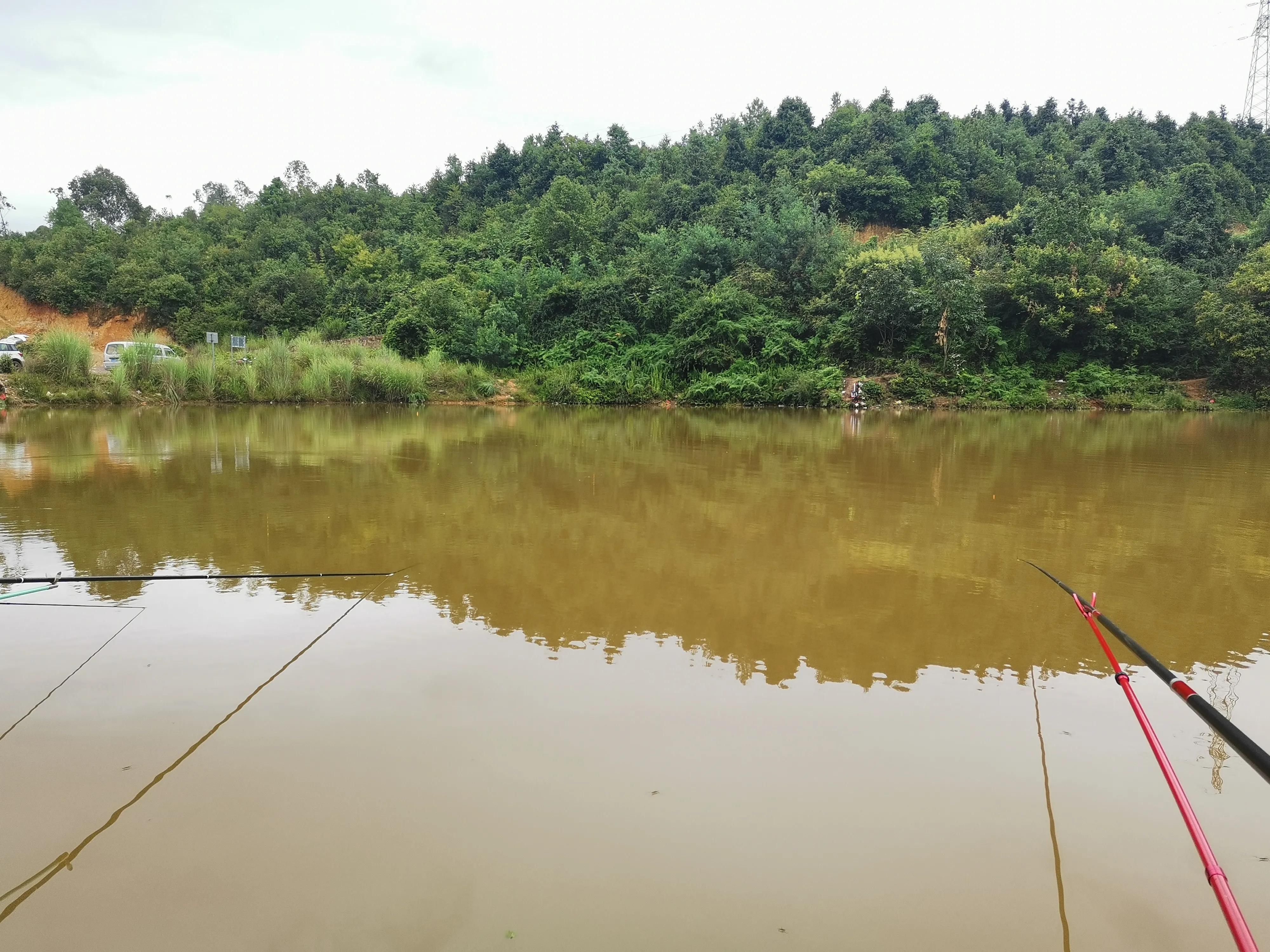 昆明|楚雄大新坝水库探钓，钓法饵料无限制，仅收50一天还能钓鲢鳙
