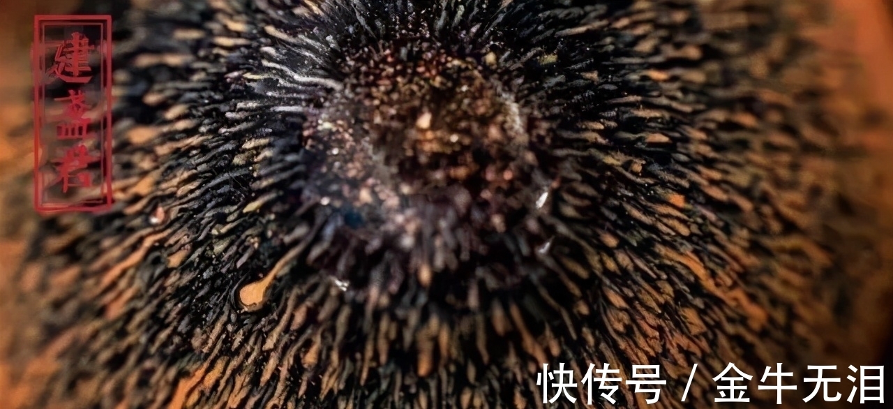 兔毫|如何看懂建盏?4个维度赏析建盏釉色