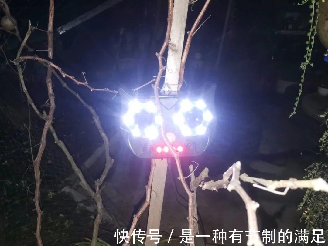 四川大哥养多肉,创意无极限,生活巴适得很!