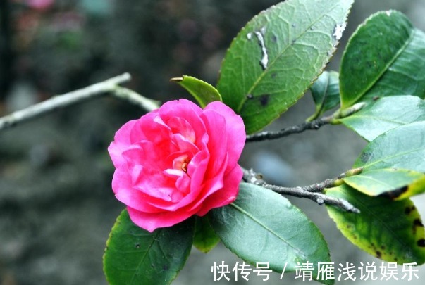 身边人&俗话:天狂有雨,人狂有祸,再有本事也别说4句话,才能福从口入