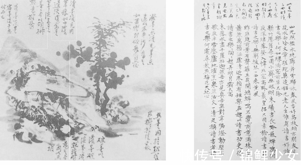 草书$林散之书法超黄宾虹?以儒家为核心,哲学为体用,佛家信仰为归依