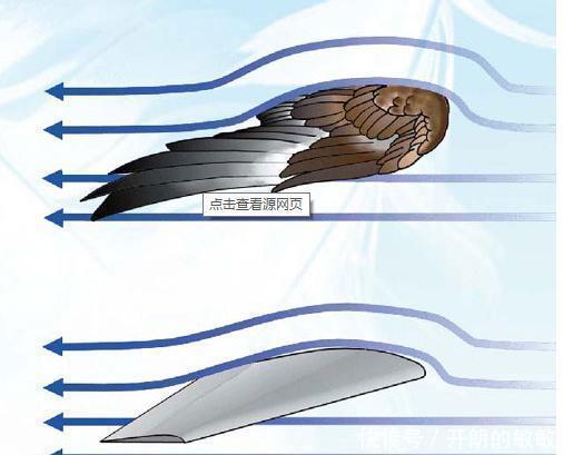 火箭即使蜗速都可以飞出太空，而为什么飞机再快也飞不出去