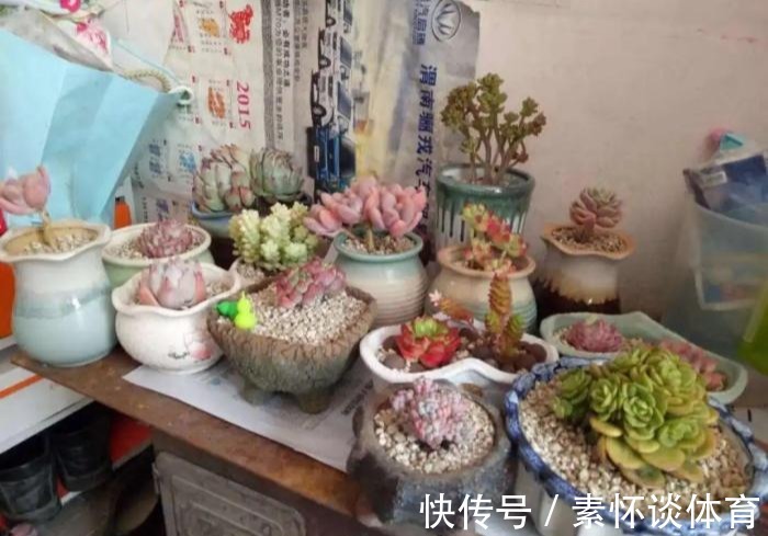 家里有此7种花,少浇水不能晒,天热要休眠早看早知道