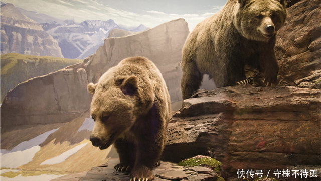 22个冷知识:或许从未知晓,但却真实存在着的有趣事实