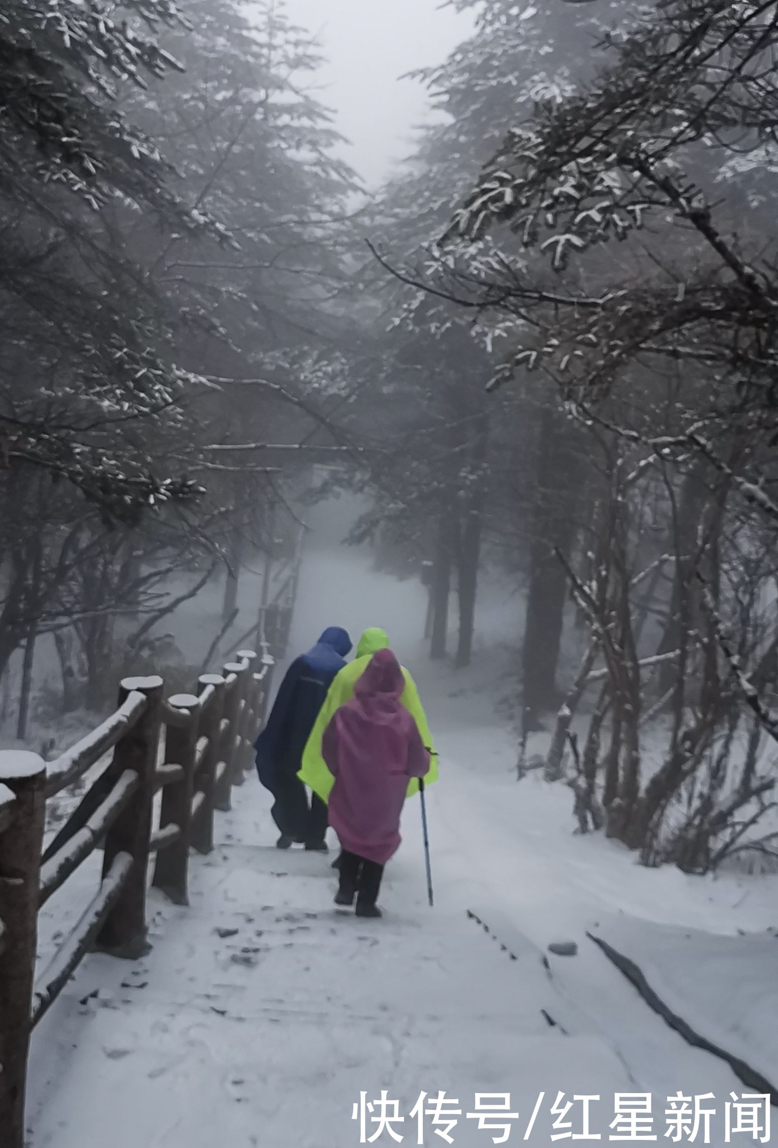 大年初四瑞雪兆丰年，成都周边西岭雪山峨眉山降大雪