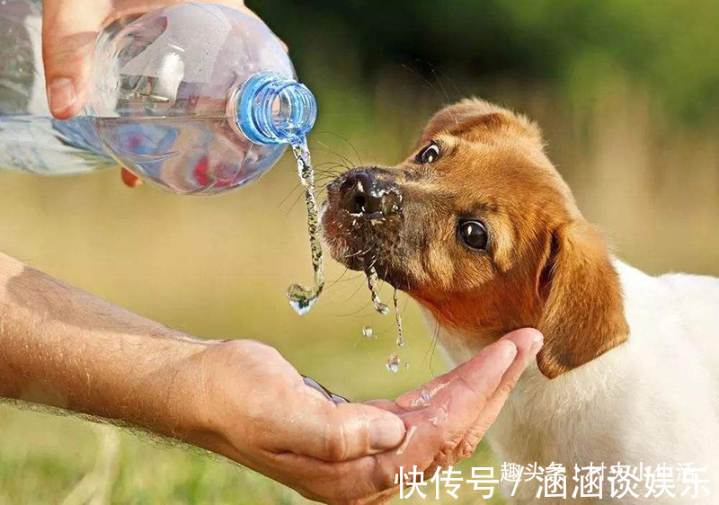 食用油桶不要扔,清洗干净改造一个神器,家家户户都用得上