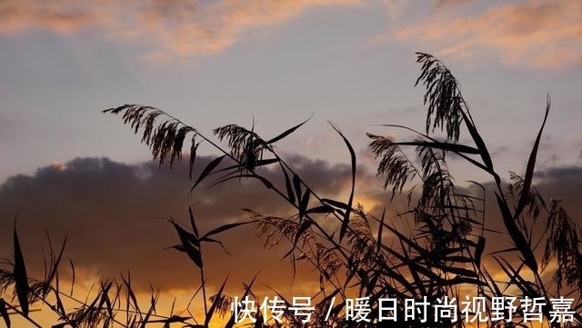 温庭筠|花间派鼻祖,过五丈原诗风大变,一首诗慷慨悲壮直追杜甫《蜀相》