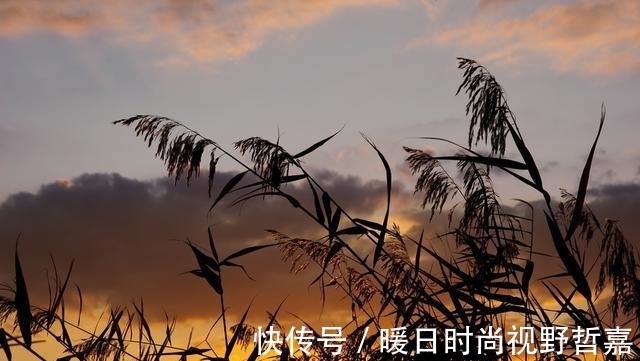 温庭筠|花间派鼻祖，过五丈原诗风大变，一首诗慷慨悲壮直追杜甫《蜀相》