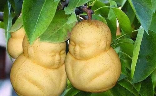 气血|女性变美,不妨多吃几种食物,补益气血,调肝养血,身体更好