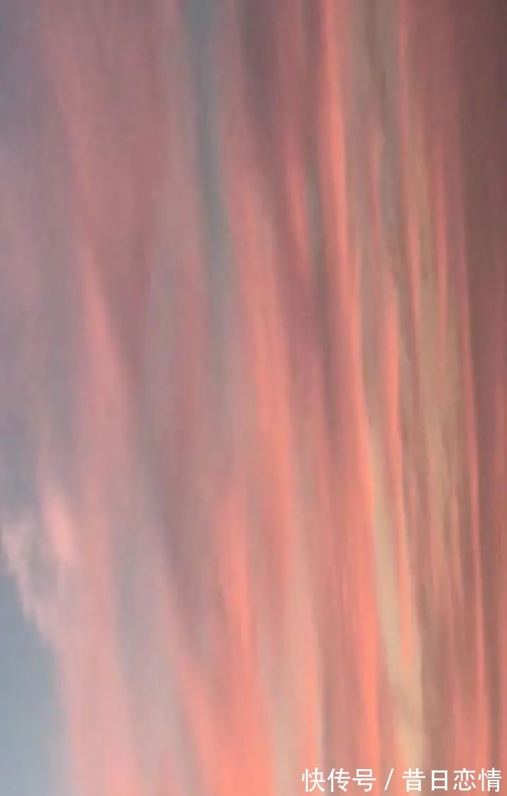 诗句|当年背到头秃的古诗,瞬间读懂了……