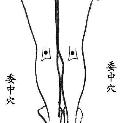 合谷穴|身体自带的止痛药!一分钱不花,头痛、牙痛、胃痛、腰痛一扫而光
