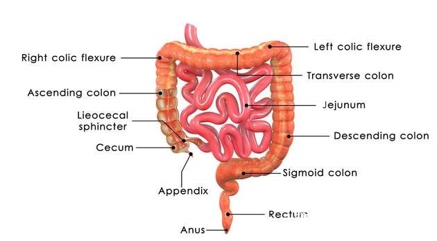 妇科医生|女子头晕半年，以为患癌症，检查结果让她觉得重获新生