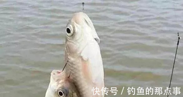 双钩的“上钩”和“下钩”中鱼区别,想不空竿,赶紧学