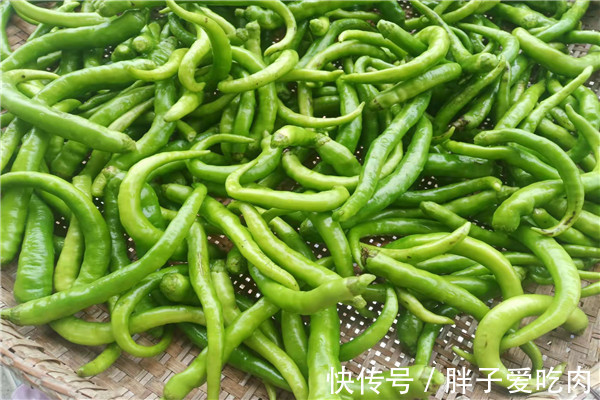 在家自做青椒酱,做法简单,颜色翠绿不发黄,好吃方便