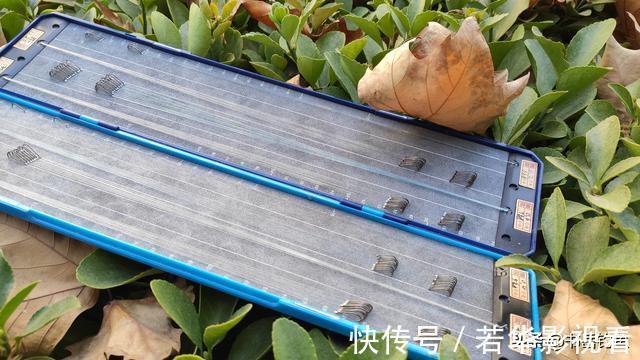 灵顿|子线的长度将会决定你渔获的多寡,错误的子线用法不仅没口还空军