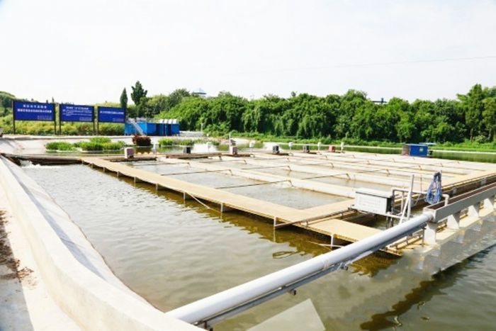 冬季的水产养殖如何做好防护工作?