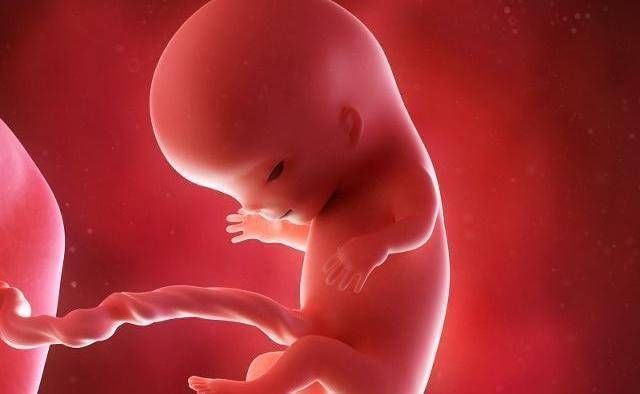 花青素|这些东西在怀孕期间经常吃,这会使胎儿的眼睛变漂亮孕妇可以试试