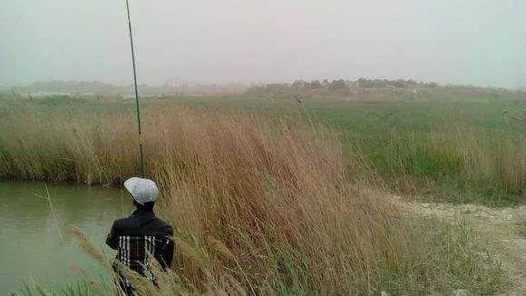 野钓连竿不已突然停口,别以为都是大鱼进窝了,还有这几种情况