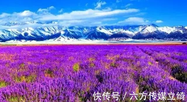 坐标|9个避暑旅行地，凉快人少还精致，这样的夏天你不安排上吗？