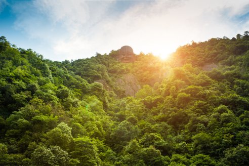 打卡点|65 千佛山景区