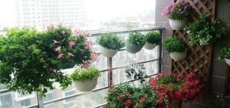 养花就用松针土，养啥旺啥，自己在家就能做，比买来的营养土好