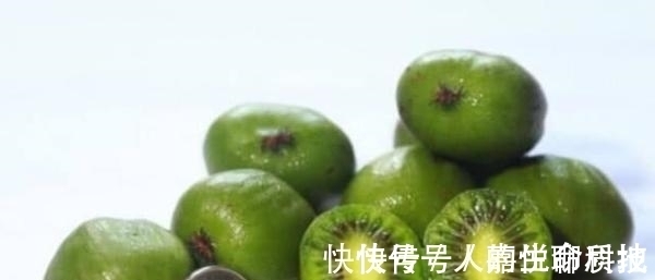 圆枣子|它是抗癌、抗衰老的神果,价值不输于榴莲,被誉为“世界之珍果”