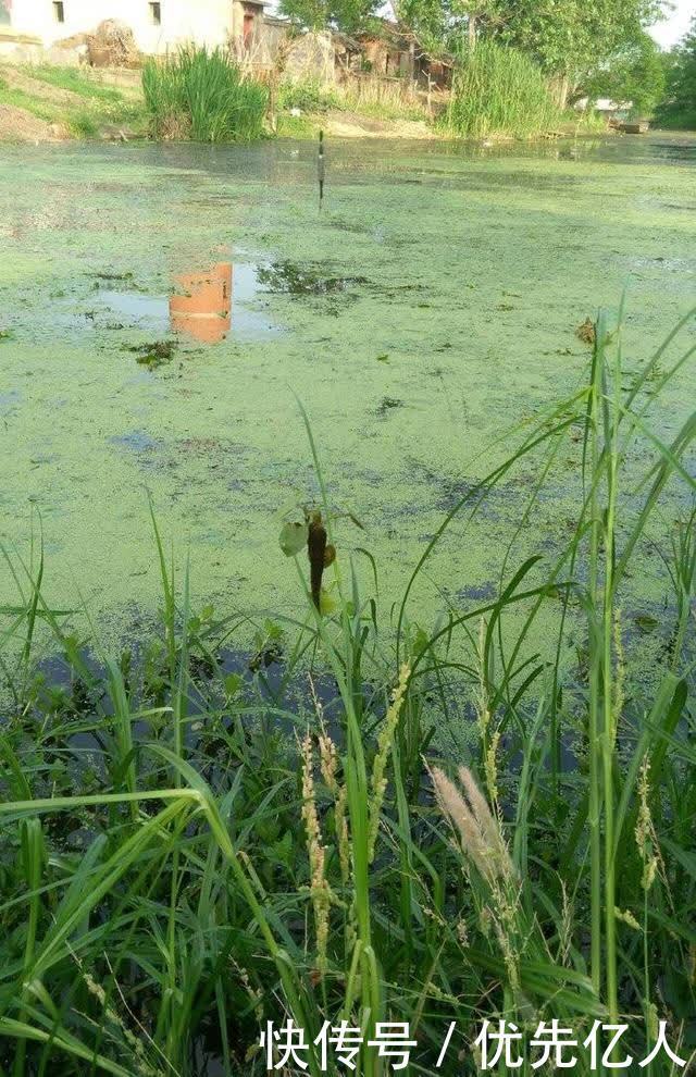 春钓鱼儿上浮不开口怎么办?三个办法解决,总有一个适合你