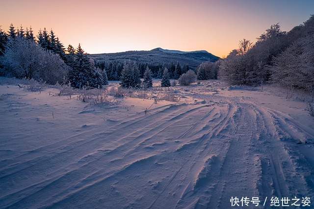 阻止|《侯大利刑侦笔记4》:谁也无法阻止我寻求真相