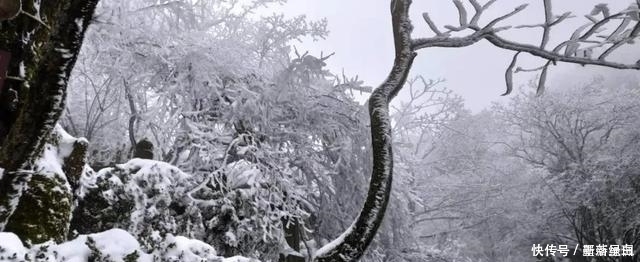 驶向第三极:武当山的雪,惟愿与你再相逢