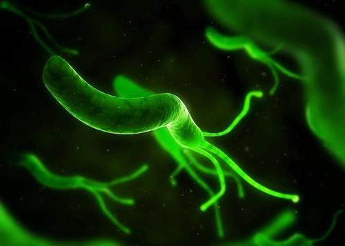 幽门螺杆菌怕“1物”，不是南瓜，你若常吃，胃会“感激”你的！