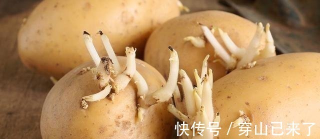 专家|发芽的大蒜不能吃?专家:3种食物发芽后,吃了对人体更好